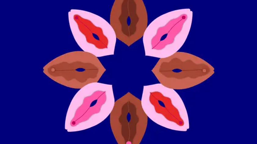 Variasi warna vagina (source: Insider)