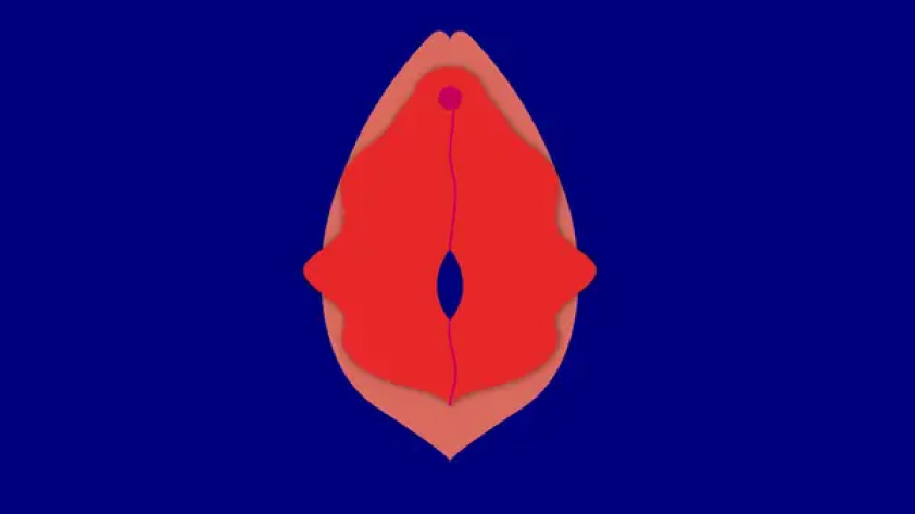 Labia dalam lebih mencuat (source: Insider)