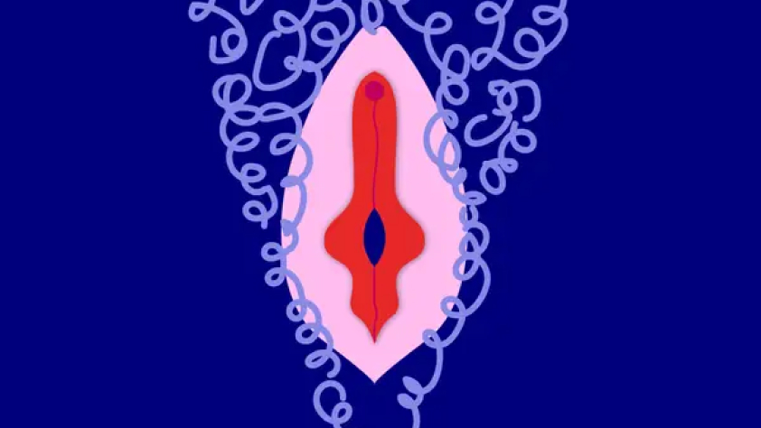 Labia kecil (source : Insider)