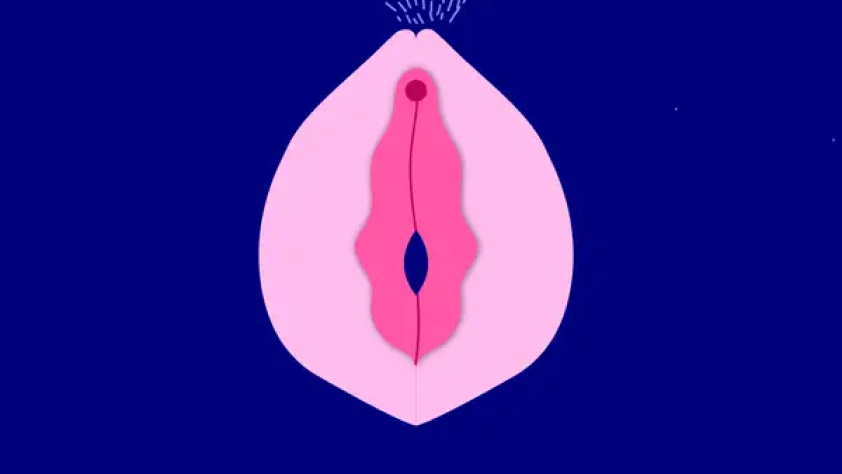 Labia luar lebih mencuat (source : Insider)