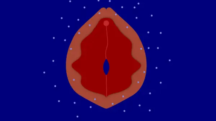 Labia luar dan dalam besar (source: Insider)