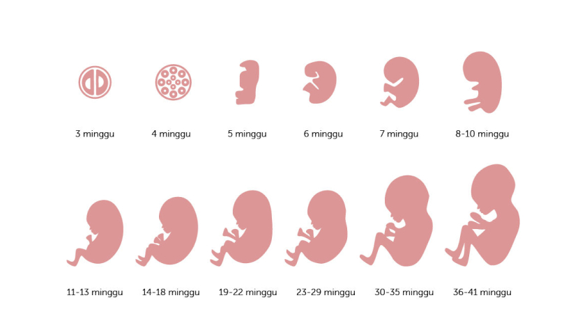 source: alodokter.com